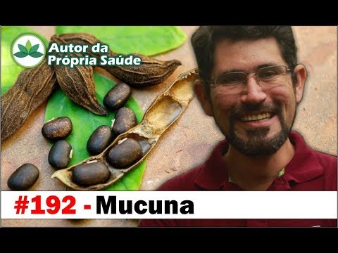 Autor da Própria Saúde – Mucuna [Parkinson, disfunção erétil, infertilidade, diabetes]