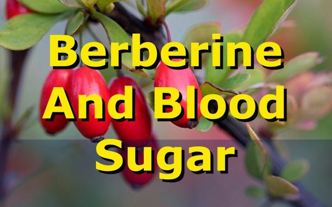 Berberine: This Plant Extract Lowers Type 2 Diabetes Blood Sugar Levels