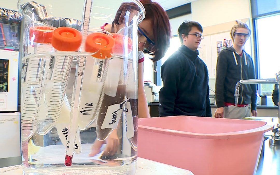 Hands-on lessons help teens understand risks of type 2 diabetes