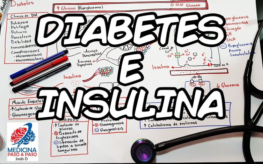 Fisiología: Diabetes e Insulina. Generalidades