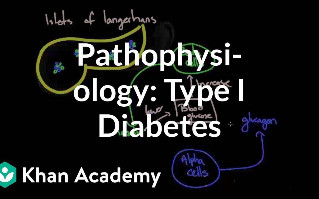 Pathophysiology – Type I diabetes | Endocrine system diseases | NCLEX-RN | Khan Academy