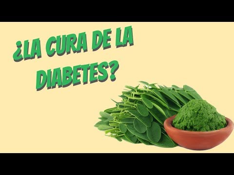 ¿La moringa cura la diabetes?: mitos y realidades