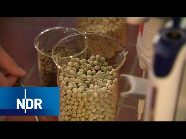 Diabetes Typ 2: Eiweiß senkt Blutzucker | Visite | NDR
