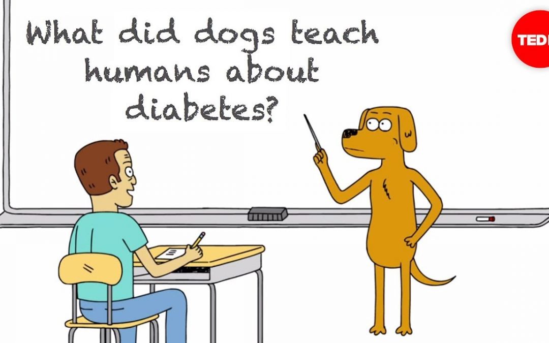 What did dogs teach humans about diabetes? – Duncan C. Ferguson