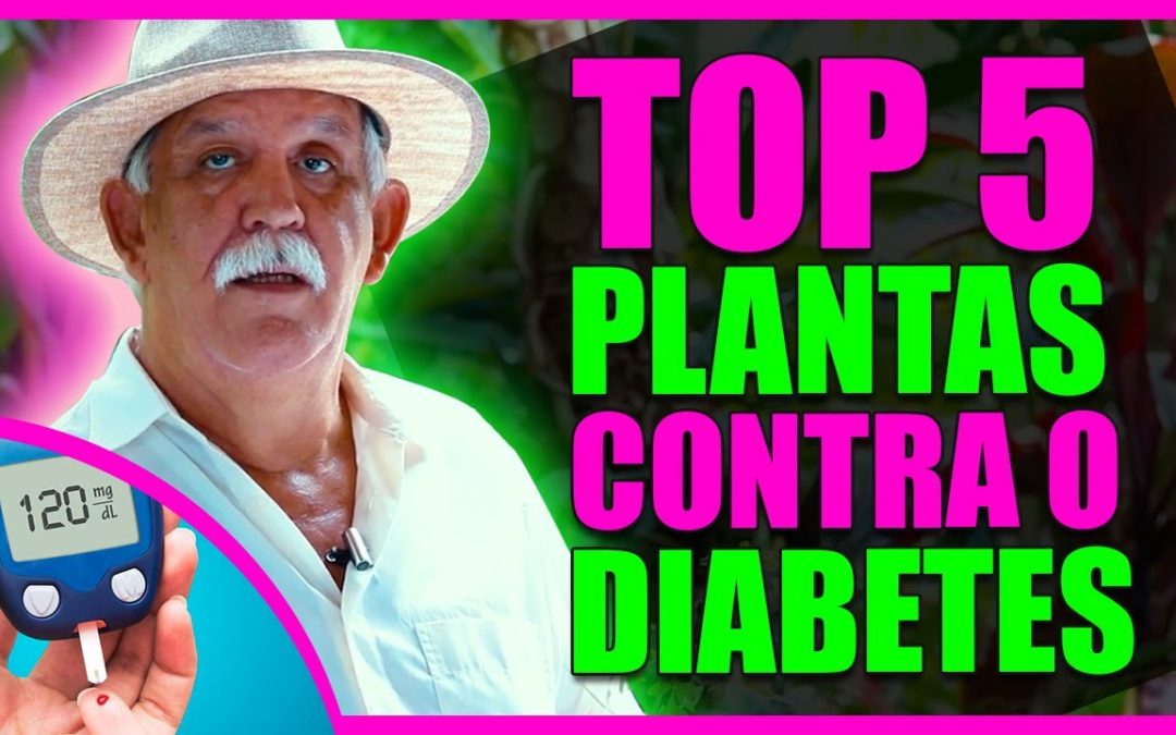 TOP 5 MELHORES PLANTAS PARA PREVENIR, CUIDAR E REVERTER O DIABETES