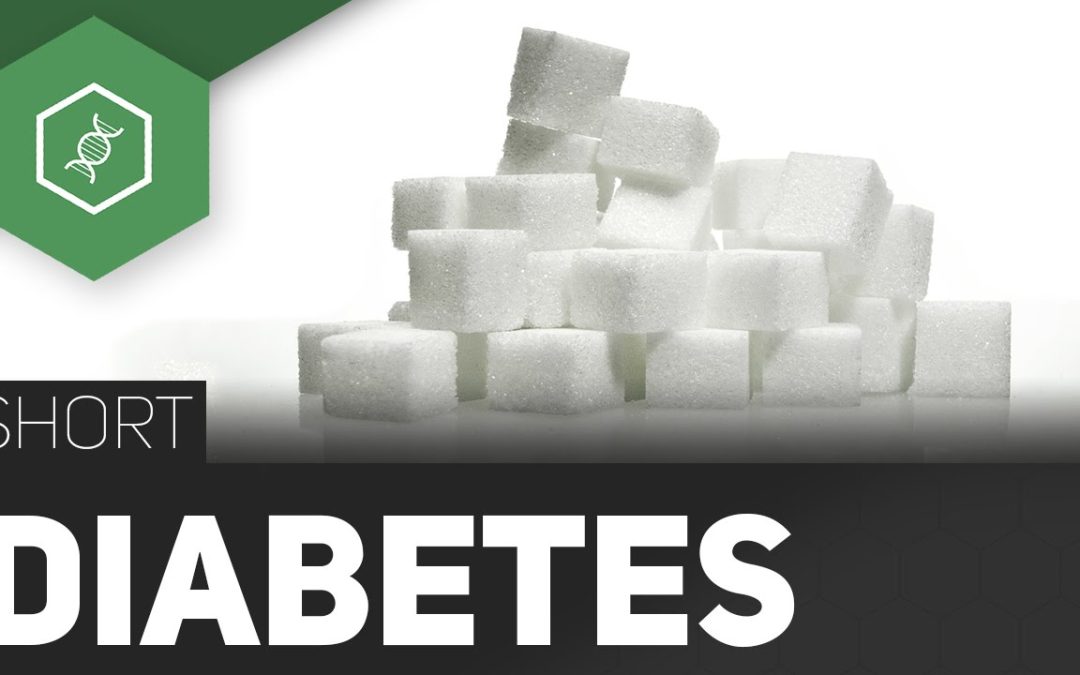 Diabetes mellitus – Die Zuckerkrankheit